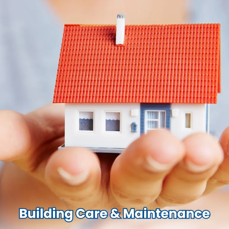 Building Care n Maintenance